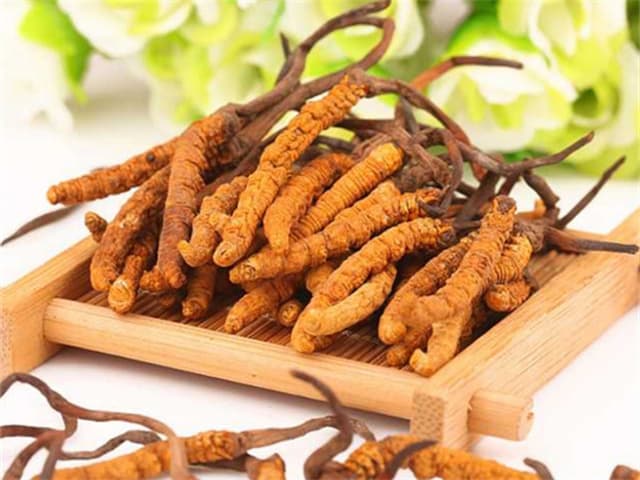 冬虫夏草怎么吃？五种常见食用方式详解