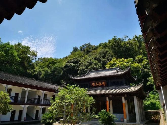 《阿含经》故事 | 安般念的教说因缘