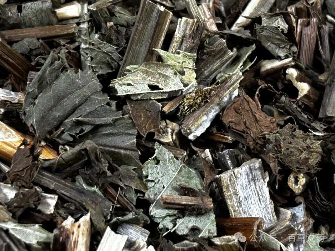 【中草药科普】每天认识一味中草药-泽兰
