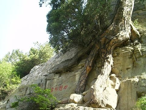天龙山景区旅游攻略：自然奇观与历史文化深度探索