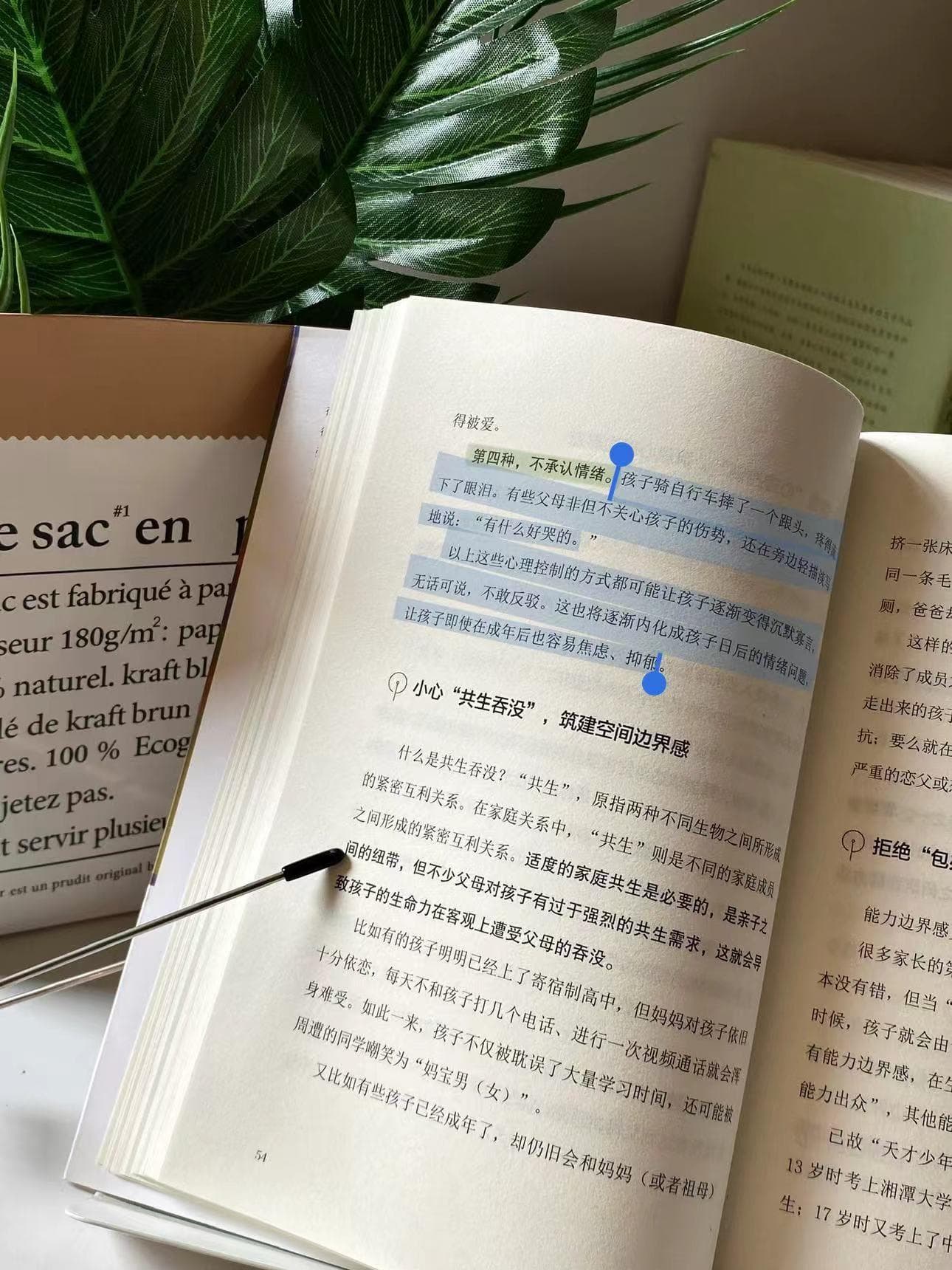 好的亲子关系，自带边界感