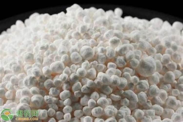 钾肥的作用与用途：植物生长的"营养师"