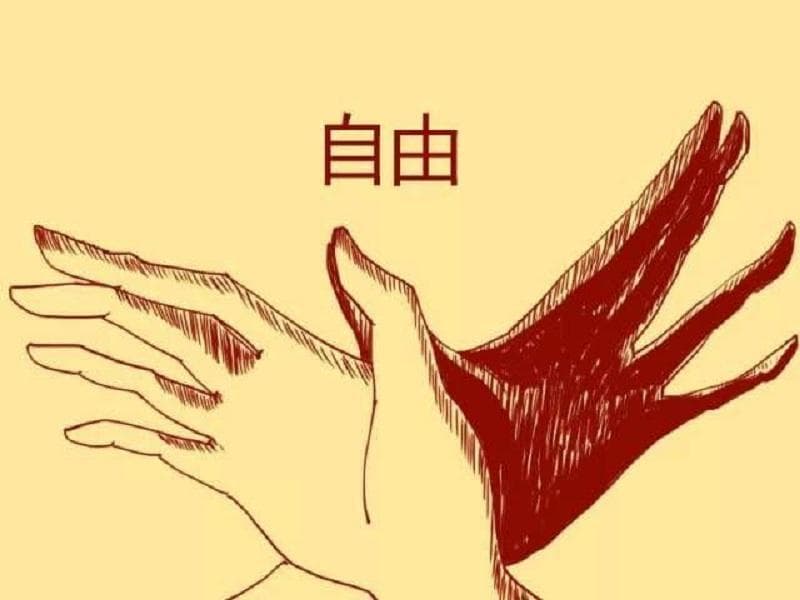 众生平等与道法自然