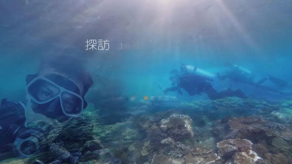 中国已成珊瑚保护最严国家，保护者们都做了什么？
