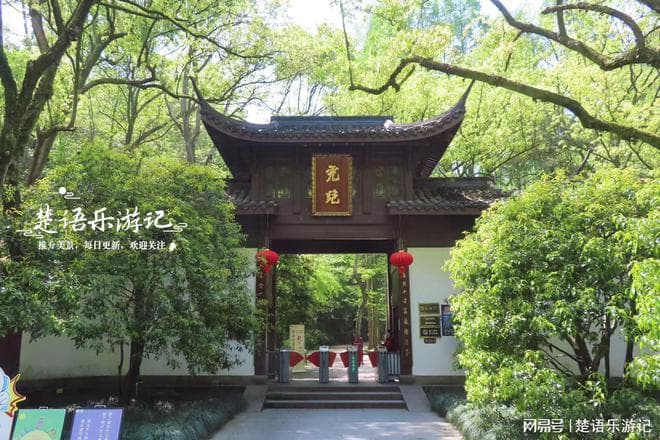杭州虎跑公园居然是丛林秘境，风光与传说并存，美景让人流连忘返