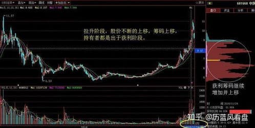 如何分析一支股票的筹码是主力或散户持有？,主力与散户持股行为揭秘