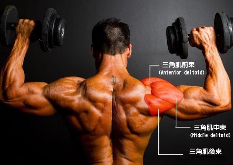 如何练出三角肌【教你打造倒三角体型】