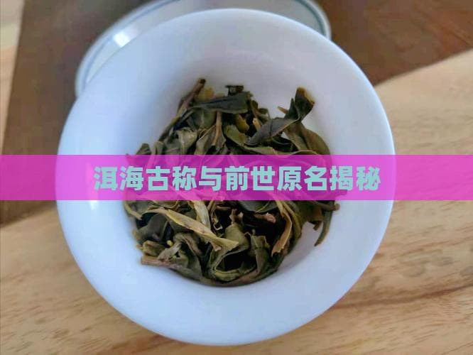 洱海：从"叶榆河"到"西洱河"的文化变迁与生态保护
