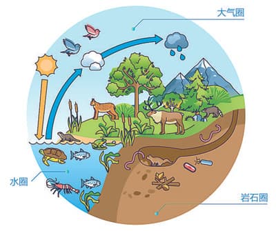【科普】陆地如何影响地球的“进化”？