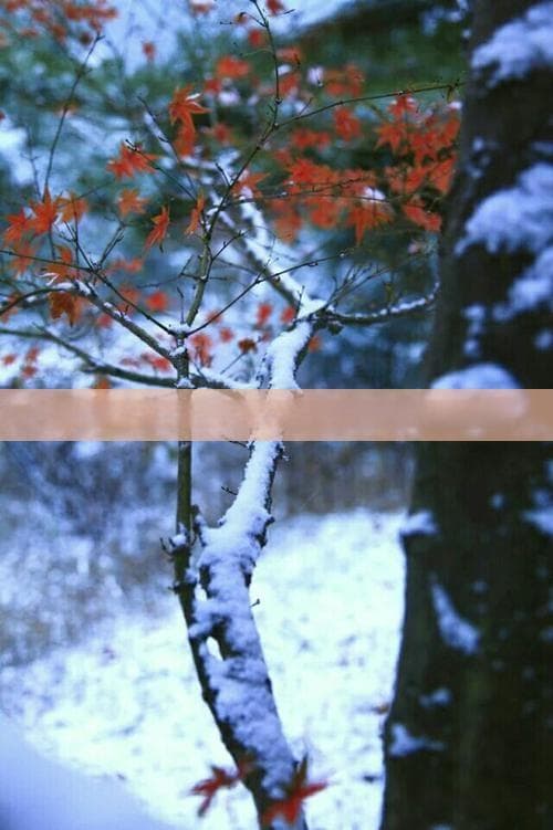 探索四川巴塘：自然风光、历史文化与特色体验全解析