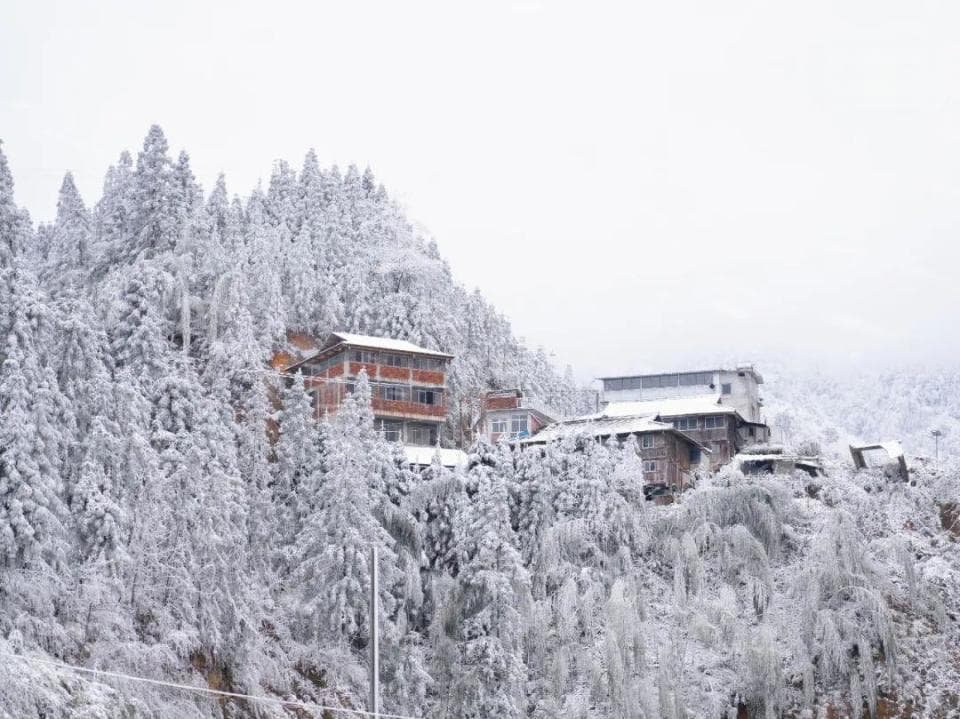 2025年柳州气候预测来了！暴雨、冰雪、高温……出现时间段