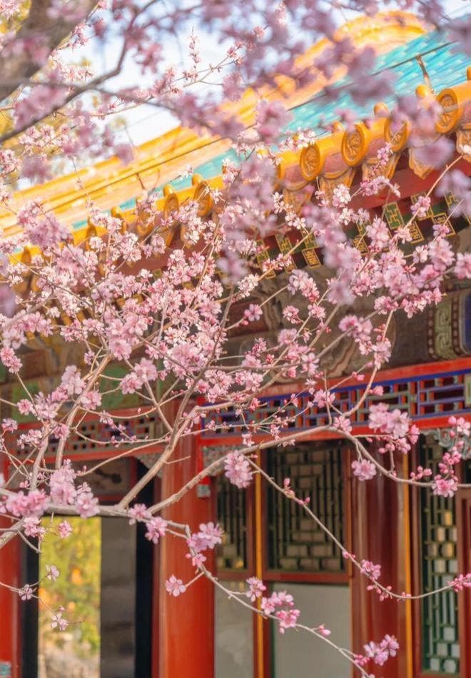 北京三日游最佳路线安排！你绝对想不到的北京三日游超实用攻略！