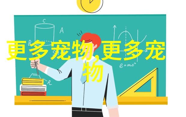 风水与养猫：如何在传统文化中寻找和谐之道