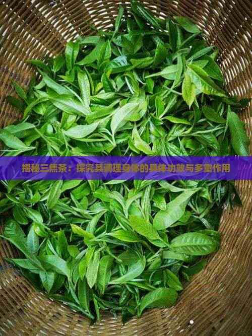 揭秘三焦茶：探究其调理身体的具体功效与多重作用