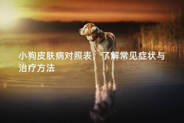 小狗皮肤病对照表：常见症状、类型与治疗方法全解析