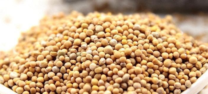 白芥子：营养价值与功效全解析