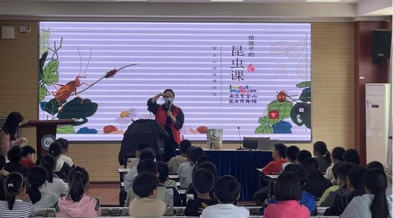 昆虫探秘行：紫金山博物馆科普进校园，共绘生态梦