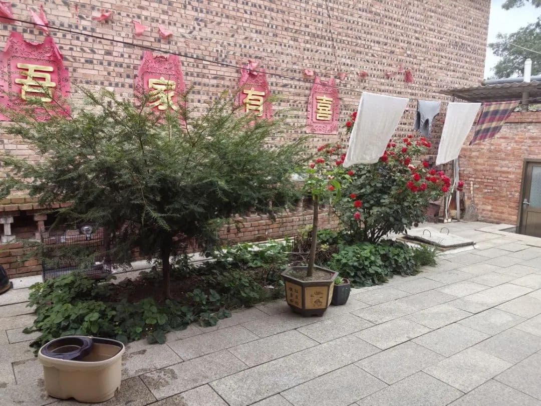 “美丽庭院”建设进行时 | 平城镇：绘就乡村美丽画卷，绽放庭院多彩魅力