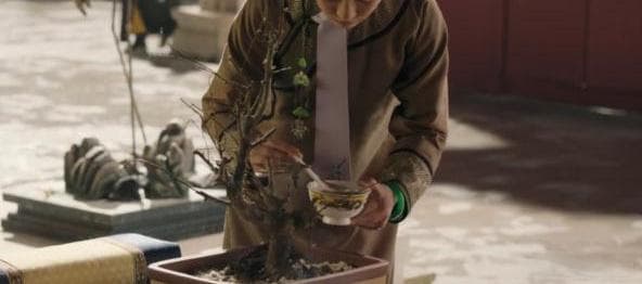 咳嗽百科〡害死如懿的肺痨病，如今为何仍有这么大的杀伤力？