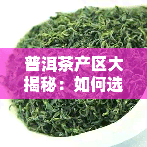 普洱茶产区大揭秘：如何选择口感的茶叶？