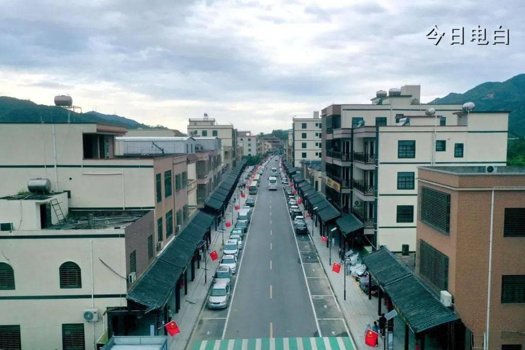 沙洞村：小小奇楠树苗，长成沉香大产业