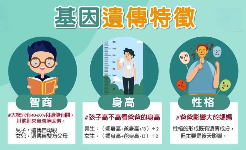 孩子的七大基因遗传特征，到底遗传爸爸多还是妈妈多呢？