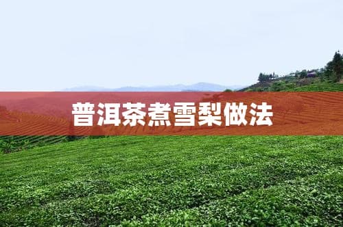 普洱茶煮雪梨：一道养生饮品的制作方法与功效