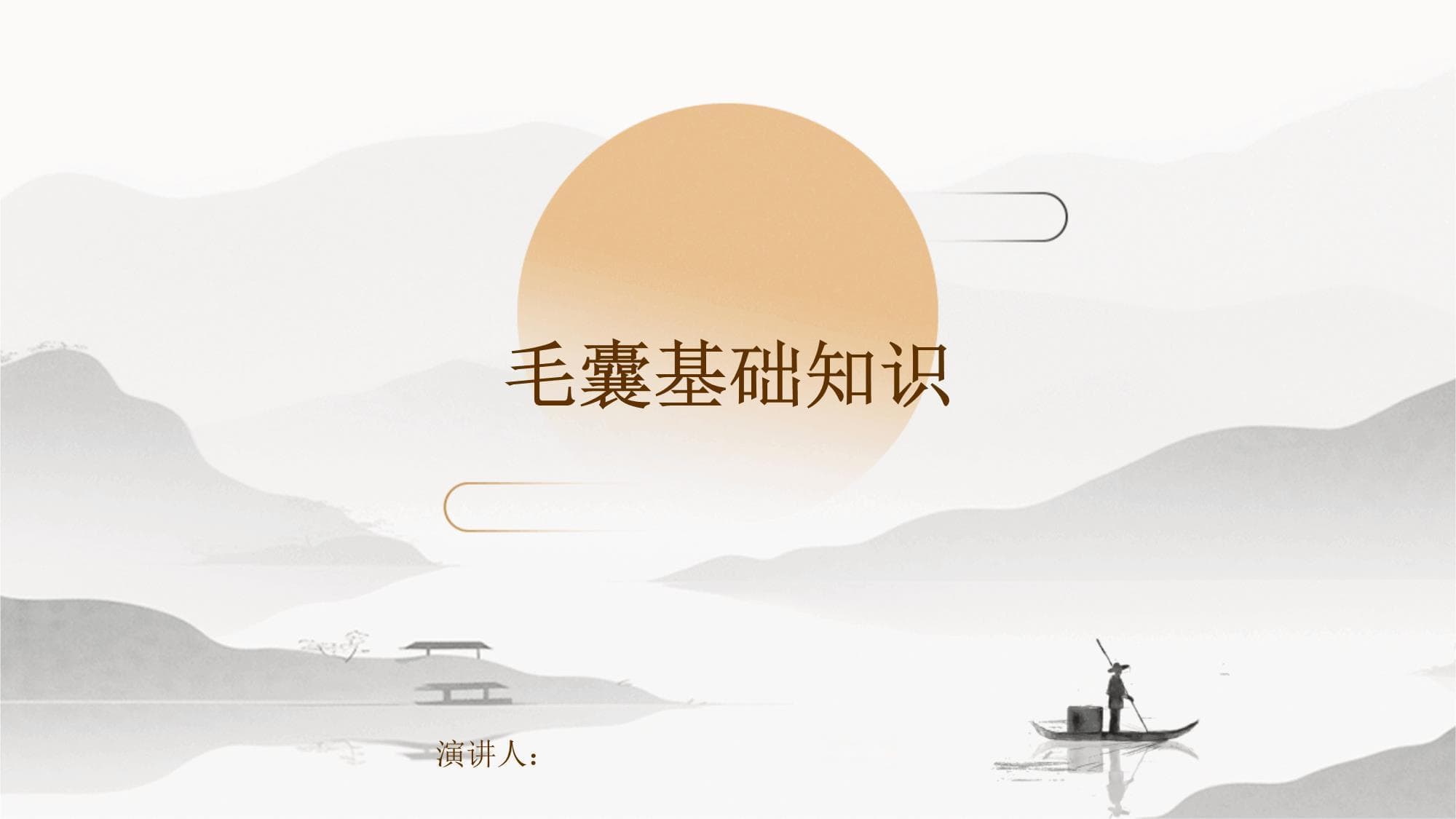 毛囊基础知识：结构、功能与皮肤健康