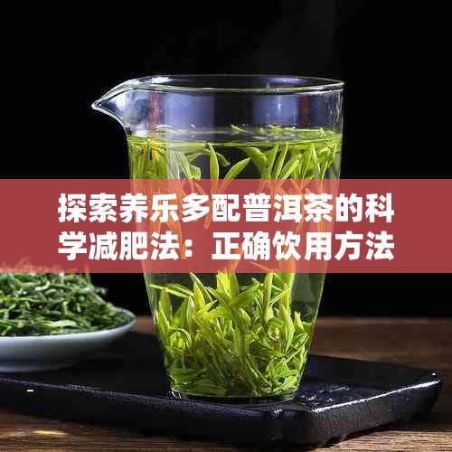 探索养乐多配普洱茶的科学减肥法：正确饮用方法与效果揭秘