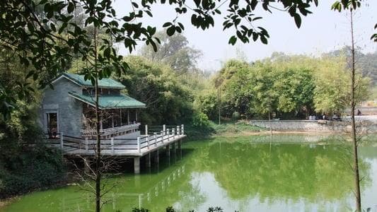 广州天河区免费游玩好去处：天河公园全攻略