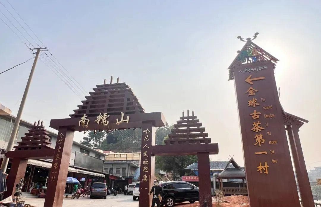 南糯山被称为“新六茶山之首”，有什么特别之处