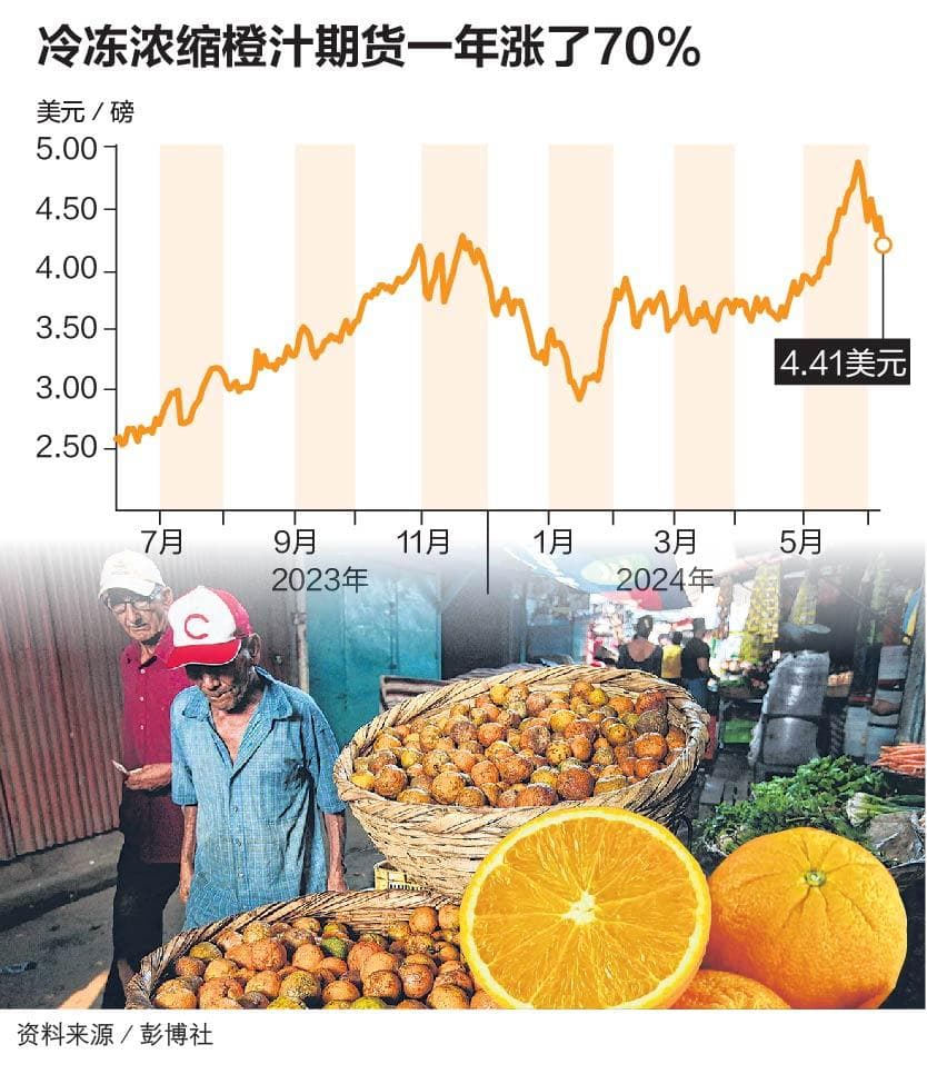 橙子欠收运输延迟 橙汁期货价格飙新高