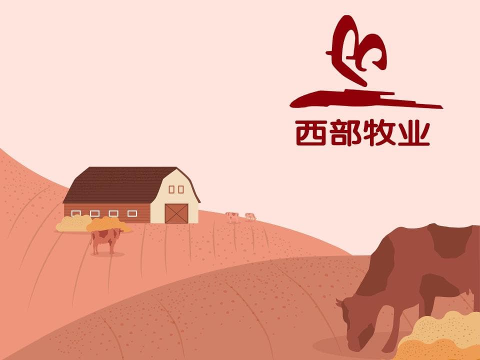 生鲜乳产量不断下滑、拓新不利，西部牧业进入“至暗时刻”