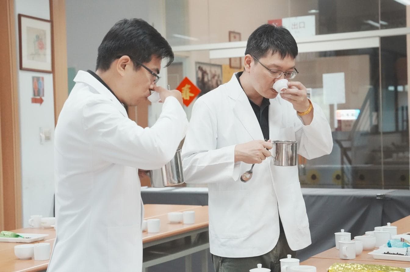 专家的"绝对味蕾"与凡人的"木舌头"：茶叶品鉴的专业与日常