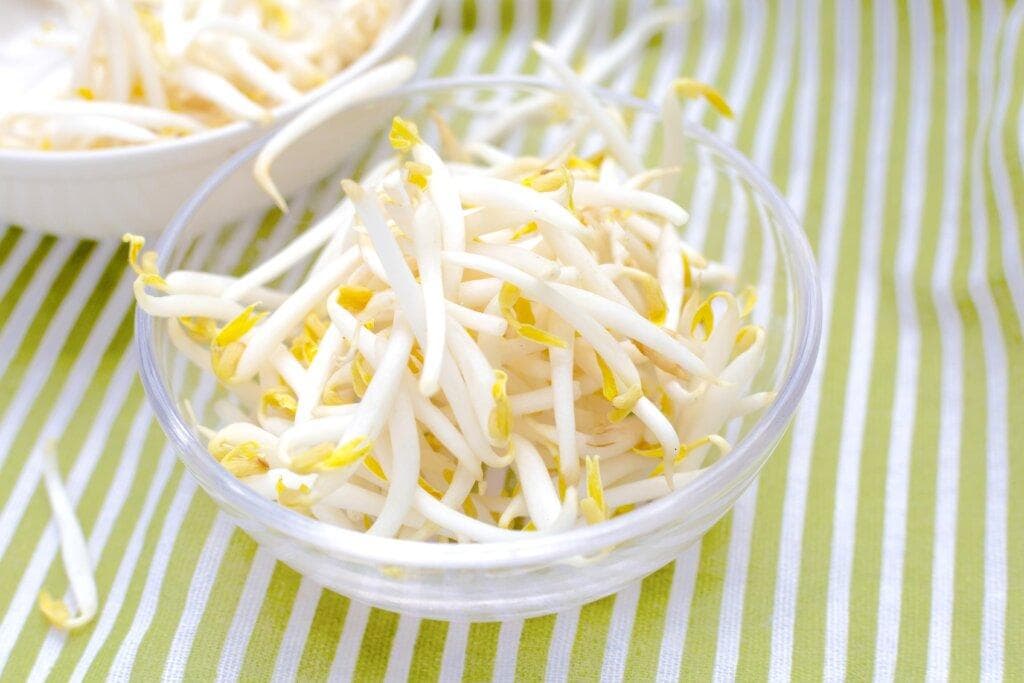 芽菜家族中的5个常见成员介绍！购买豆芽菜时有哪些挑选小技巧？