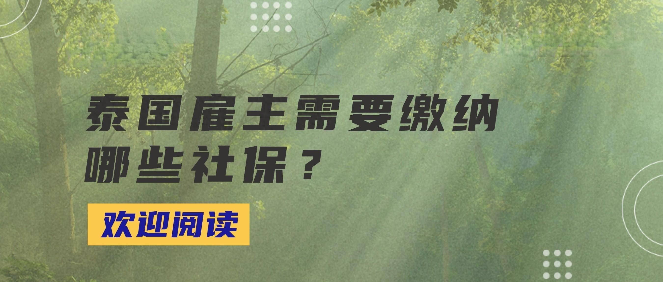 泰国企业社保制度详解：雇主应了解的法定责任与义务
