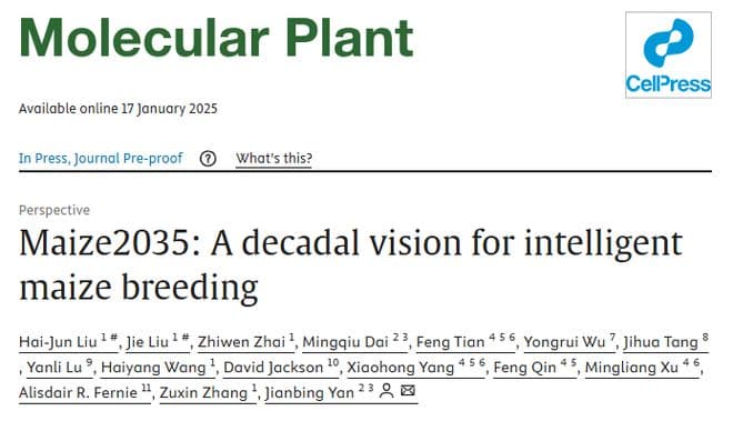 看！这是2035的玉米育种