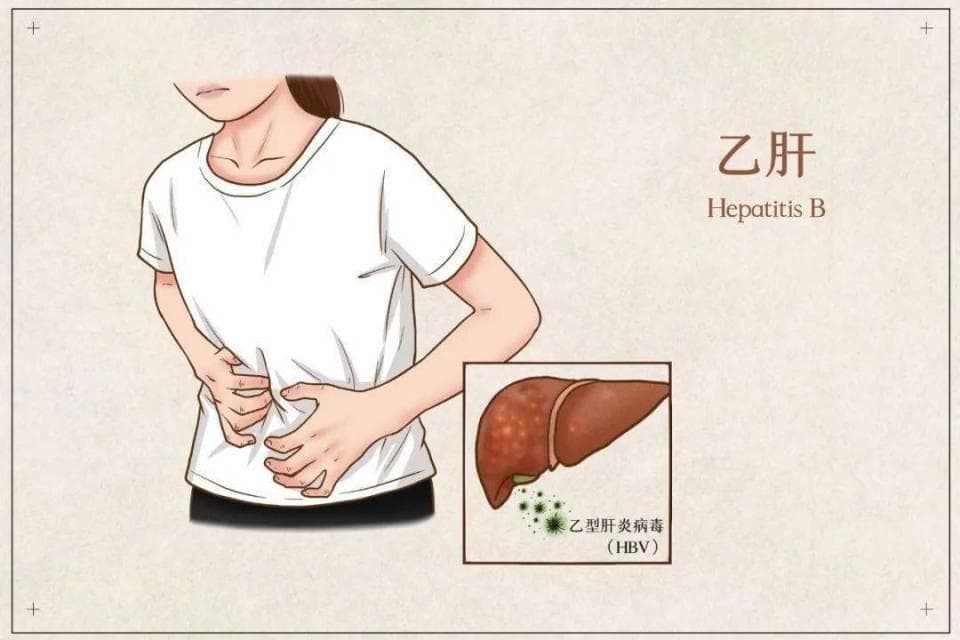 乙肝的传播，不只是血液那么简单！任其发展，会出现哪些危害？
