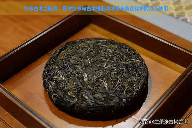 红参白术当归汤：探讨红参与白术搭配功效及与黄芪党参同泡茶效用