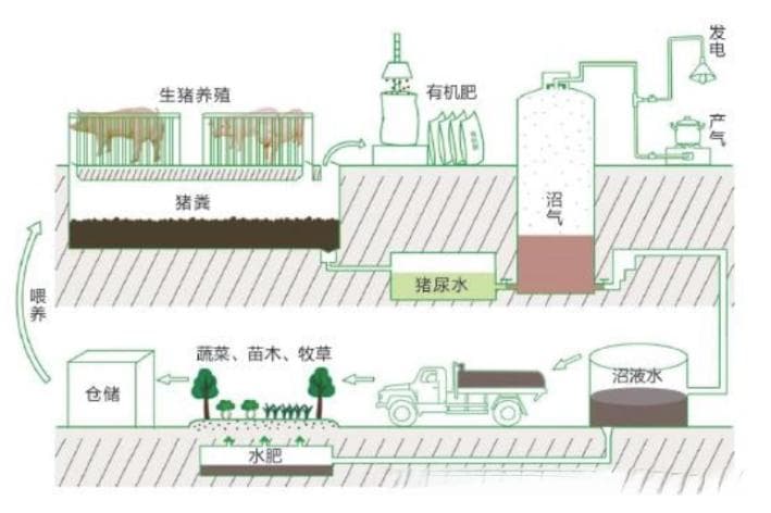 浅谈畜禽粪污资源化利用