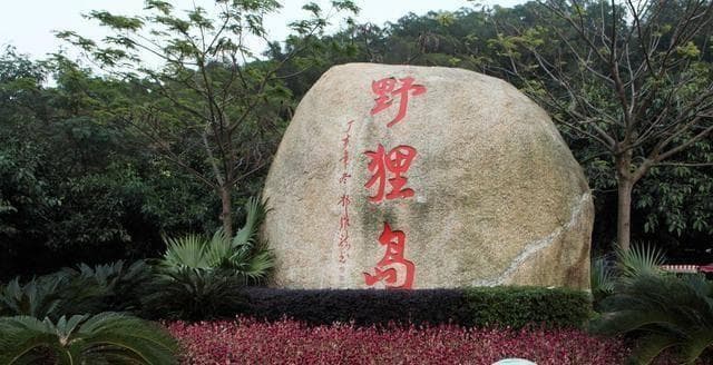 离珠海最近的免费海岛，步行就可到达，可看海、散步、环岛骑行