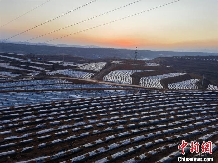 “土特产”变身“科技范” 河南乡村特色产业探新路