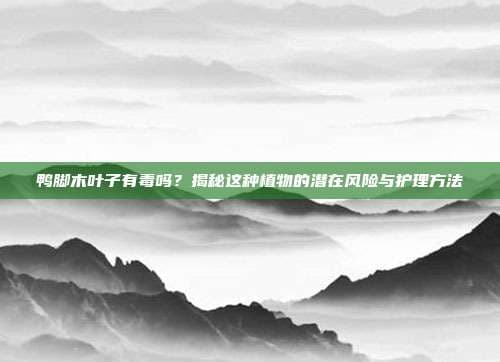 鸭脚木叶子有毒吗？揭秘这种植物的潜在风险与护理方法