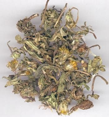 蒲公英：从种植到应用的全面解析
