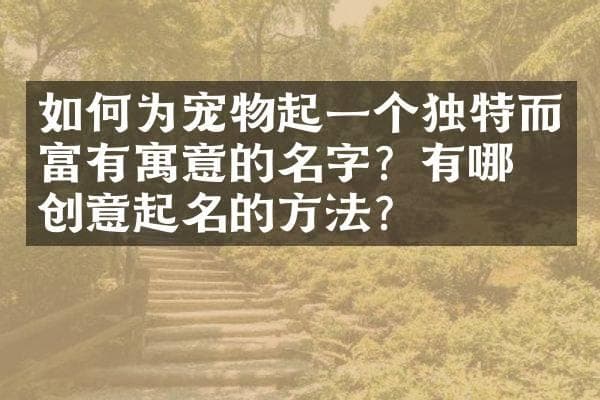 如何为宠物起一个独特而富有寓意的名字？有哪些创意起名的方法？