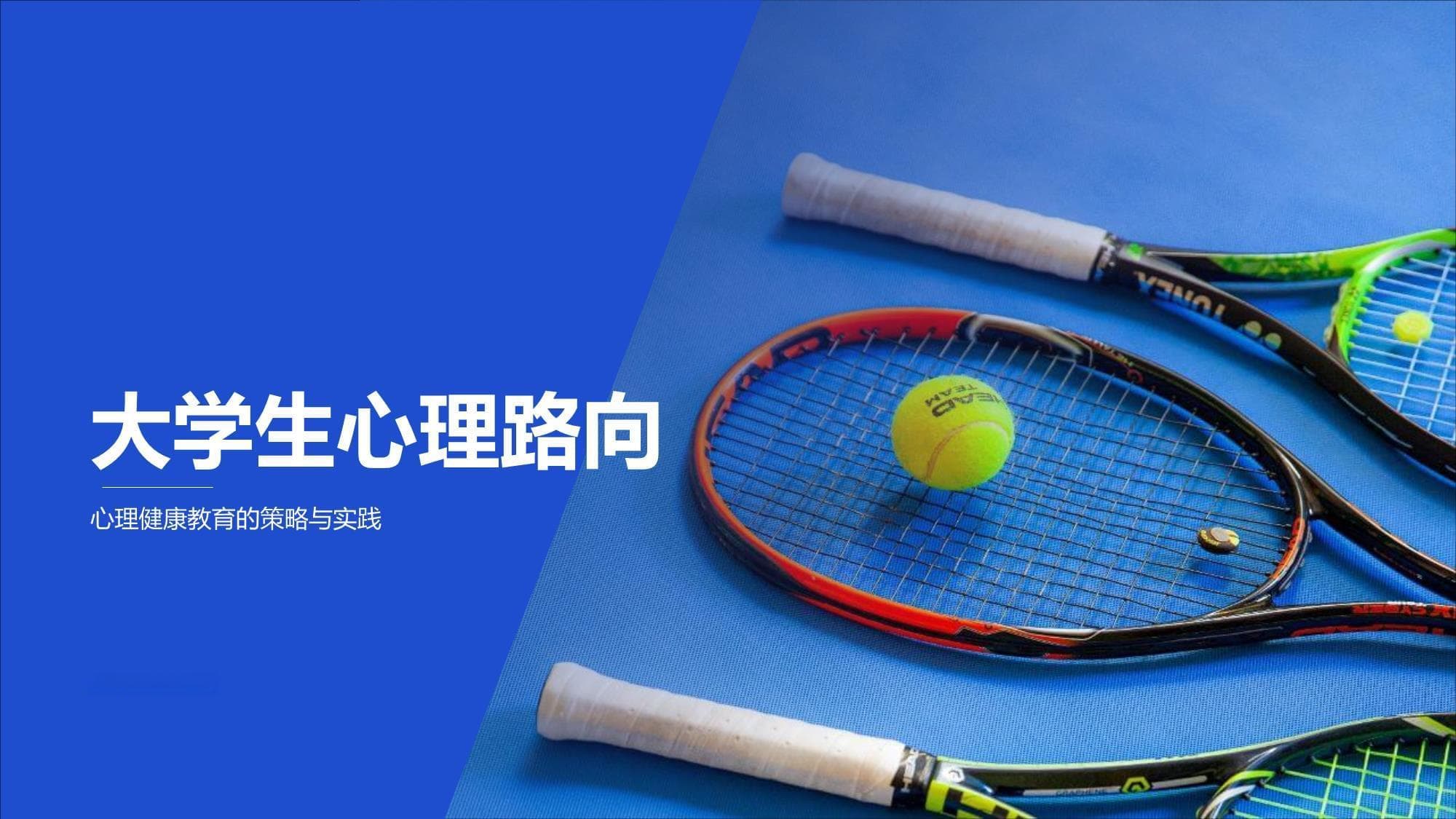 大学生心理健康教育：策略与实践指南