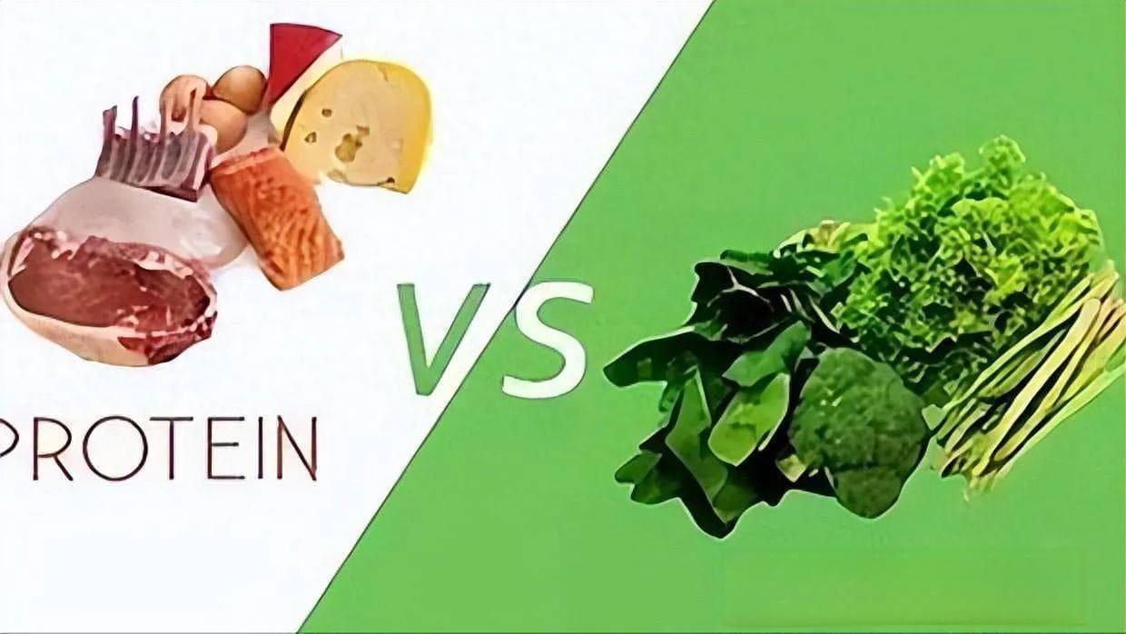 植物蛋白与动物蛋白哪个更有营养？我们该如何选择呢？