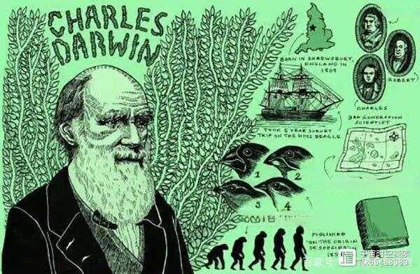 脑洞时间：10万年后，人类会进化成什么形态？