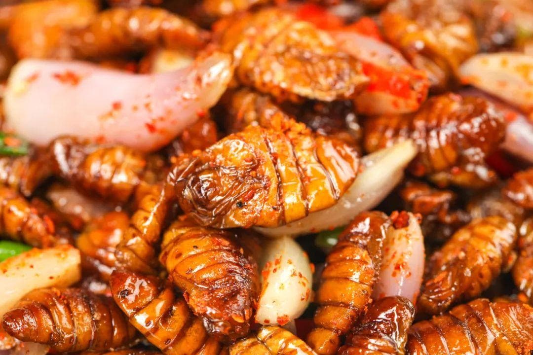 这道“暗黑”美食，东北人从小吃到大