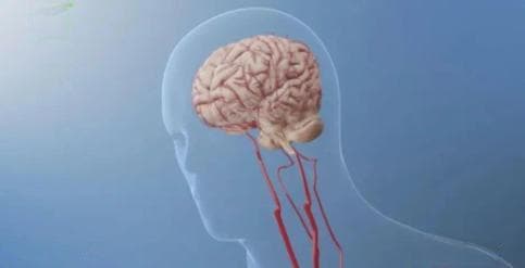 总有头皮屑，还头痒、掉发、长疙瘩？可能是这个病在作怪